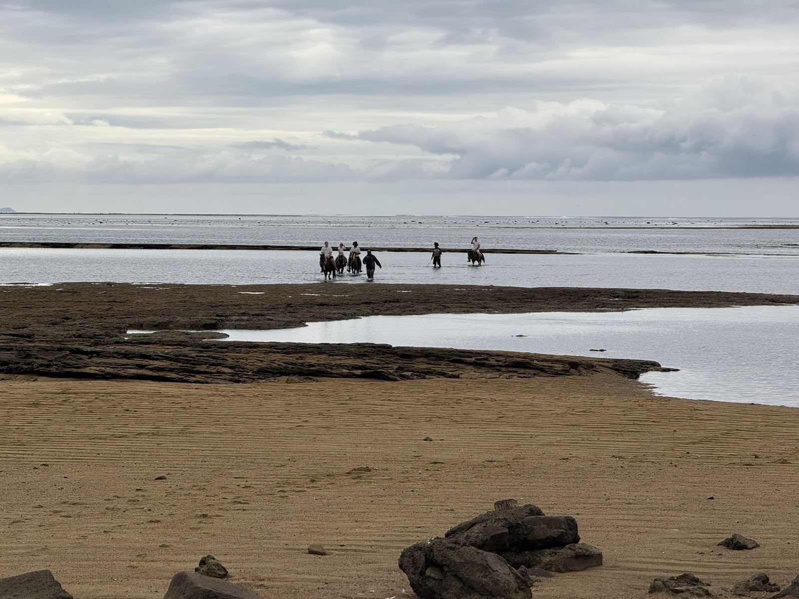 Horses and riders on the beach at low tide — Coral Coast