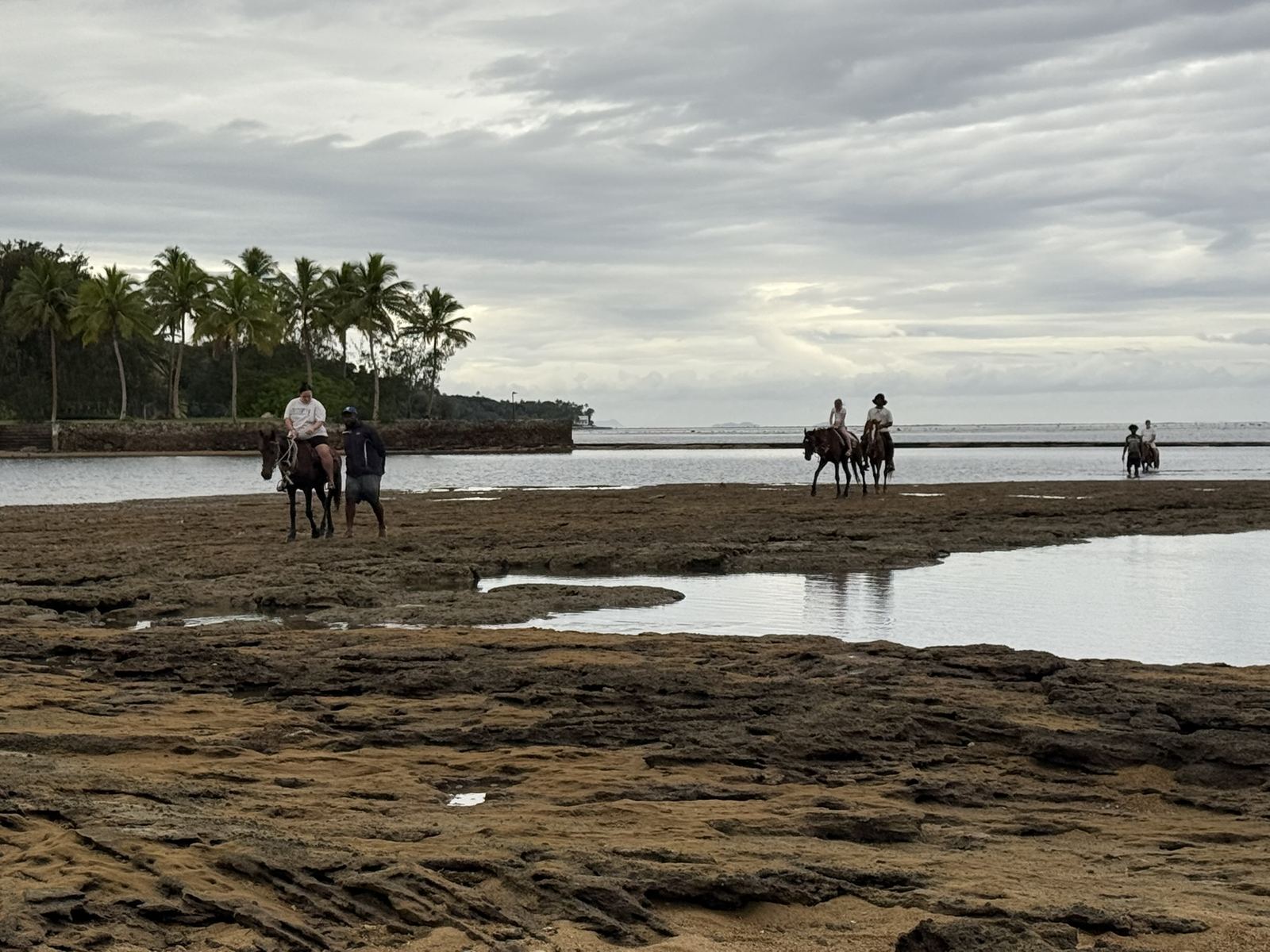 Riding along the palm-lined coast