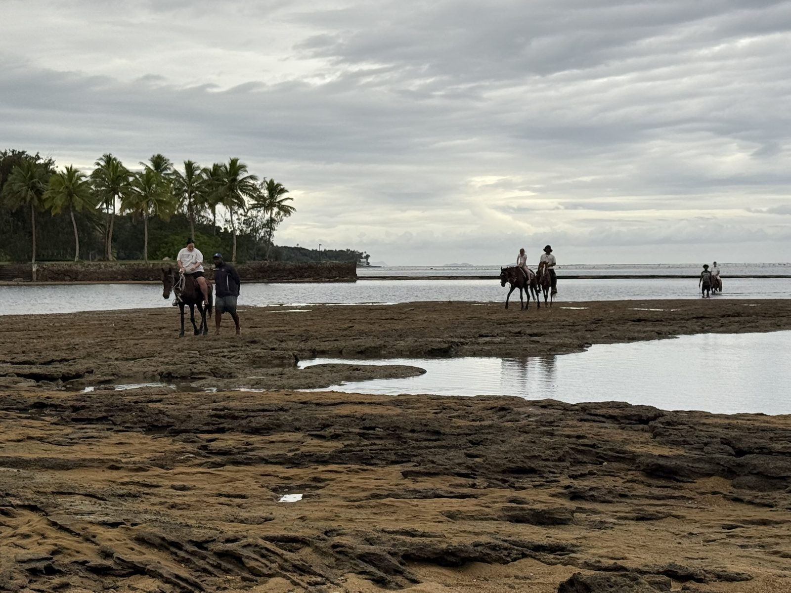 Riding along the palm-lined coast