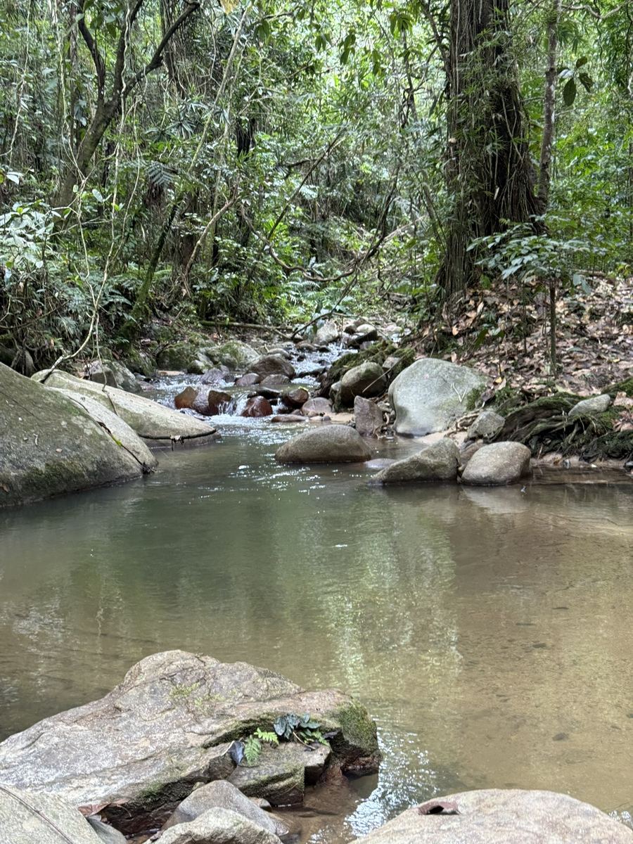 Natural rock pool in the jungle