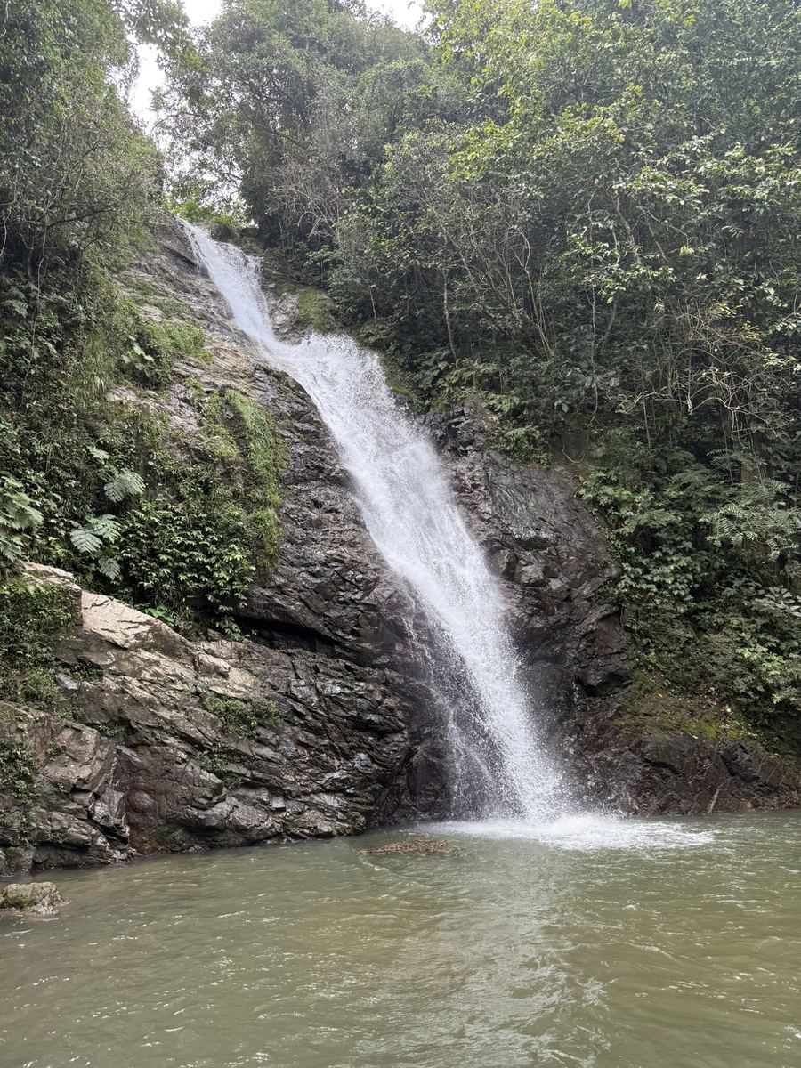 Waterfall cascading into a natural pool